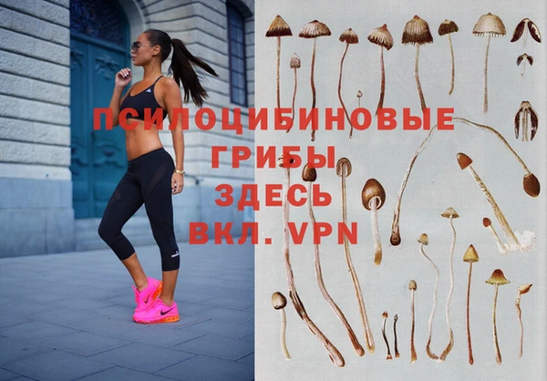мдма Дмитров
