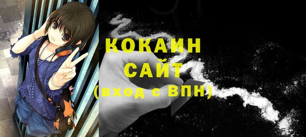 прущие крисы Дмитриев