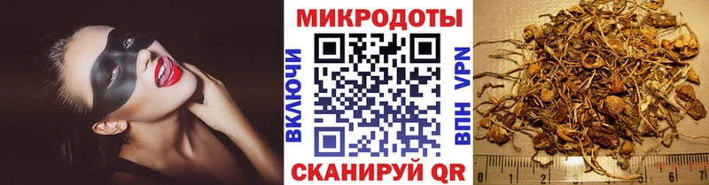 Галлюциногенные грибы Psilocybine cubensis  Купить  Чухлома 